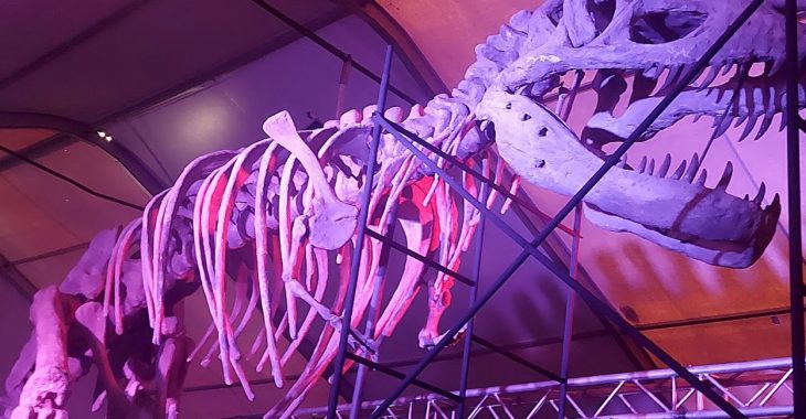 -5163430080507128734_121