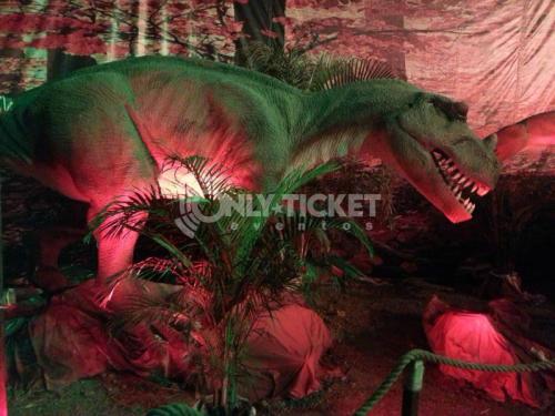 20120930-191427-72017