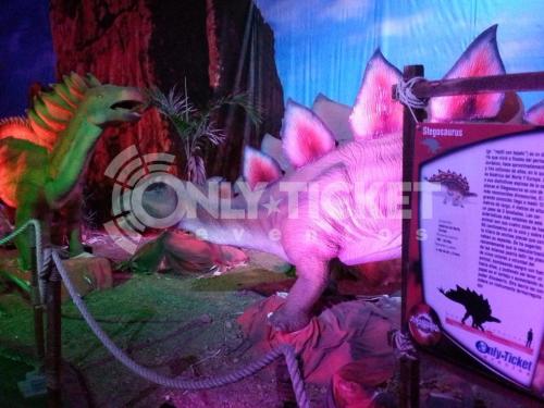 20120930-191534-83075