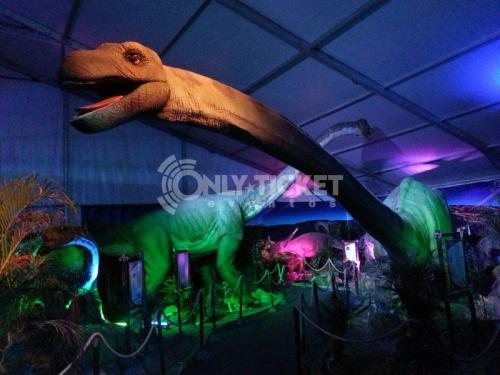 20120930-191642-73626