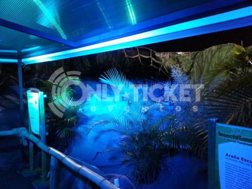 20121006-182222-41062