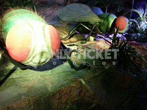 20121006-182418-83110