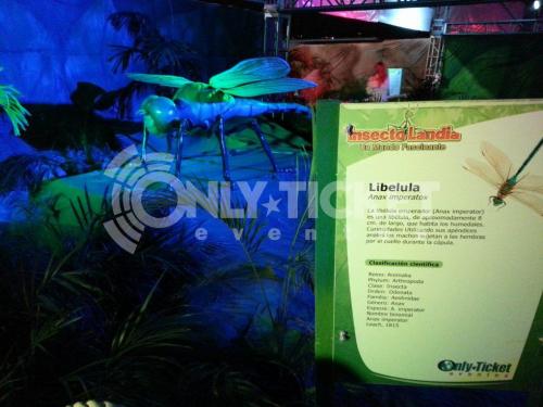 20121006-182508-71357