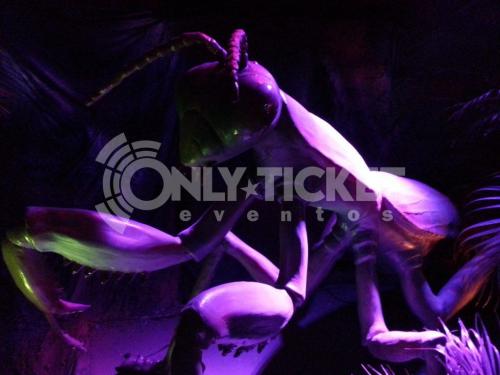 20121006-182716-5239