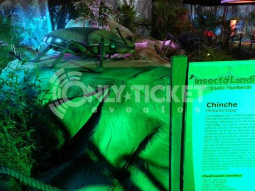 20121006-182941-63000