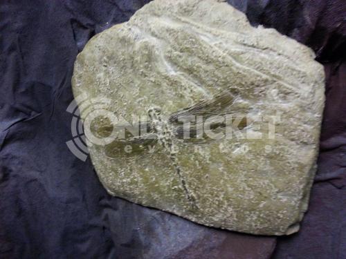 20121006-183754-38951