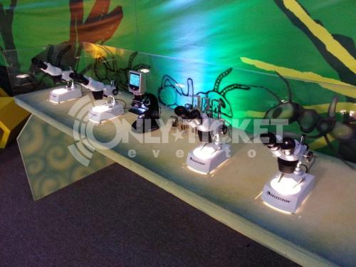 20121006-183936-85784