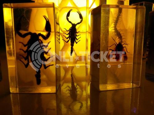 20121006-184215-8751