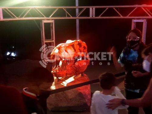 -5163430080507128731_121