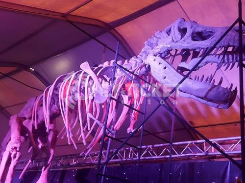 -5163430080507128734_121