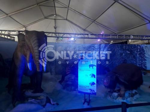 -5163430080507128741_121