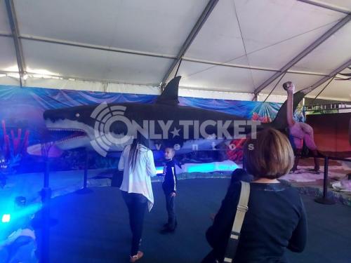 -5163430080507128742_121